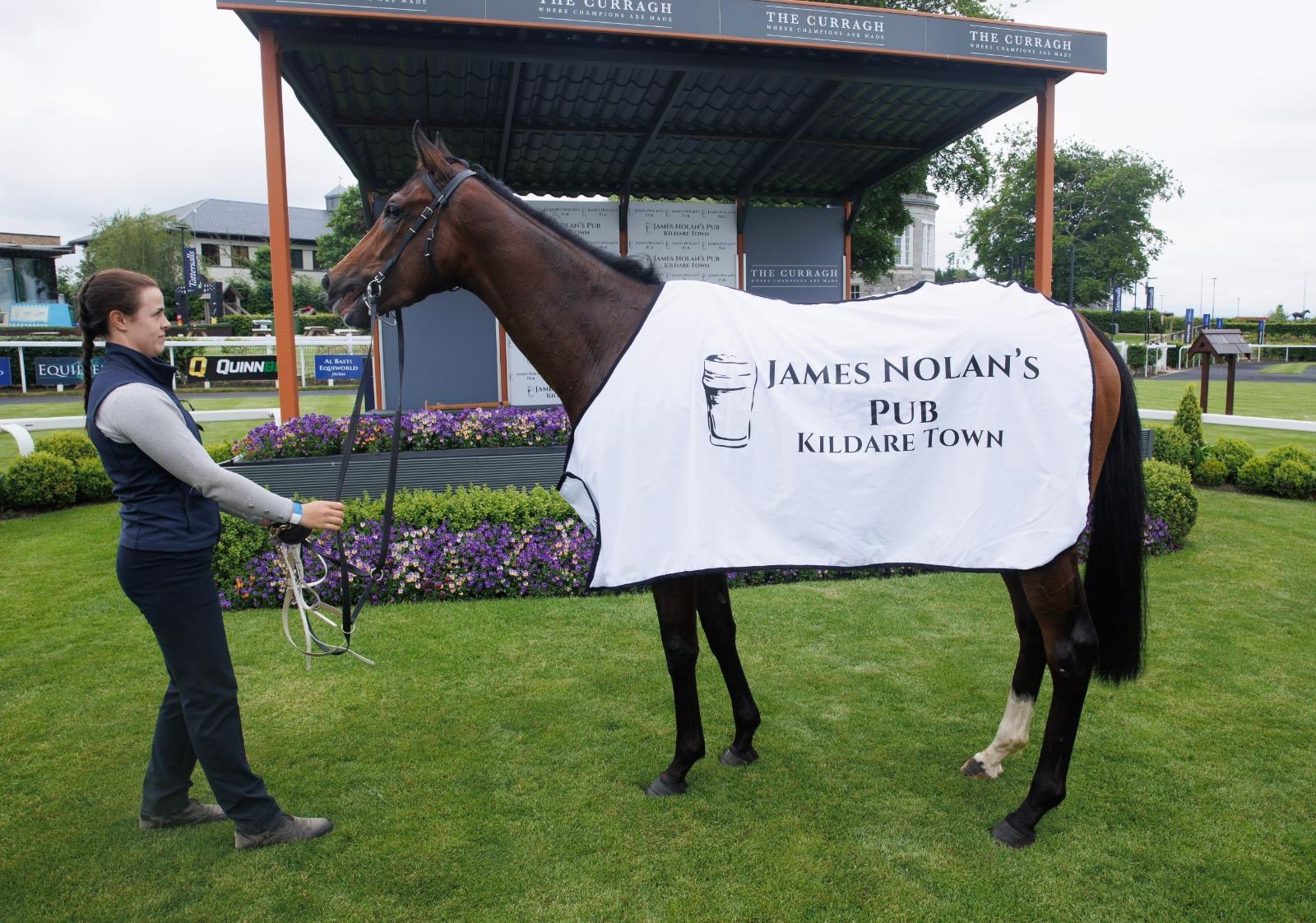 Racehorse wearing a James Nolan's Pub Kildare Town rug at the Curragh