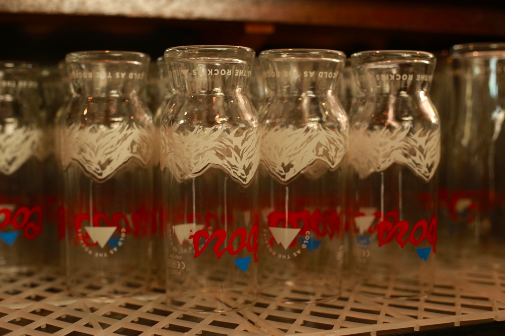 Coors glasses lined up ready for service